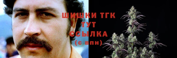 ПСИЛОЦИБИНОВЫЕ ГРИБЫ Михайловск