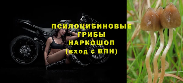 2c-b Михайловка