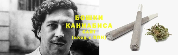 стаф Михайлов