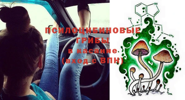 стаф Михайлов