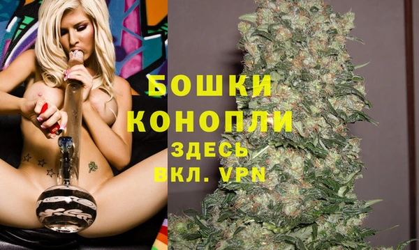 стаф Михайлов