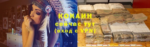 стаф Михайлов