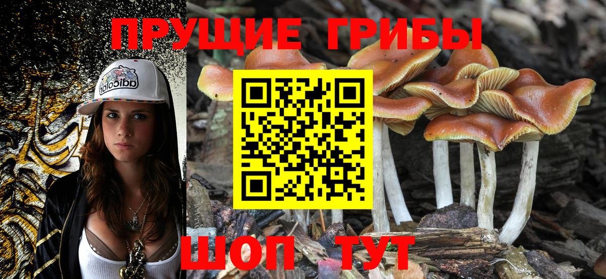 Удомля  Галлюциногенные грибы Magic Shrooms  Вход с VPN  Галлюциногенные грибы Magic Shrooms 